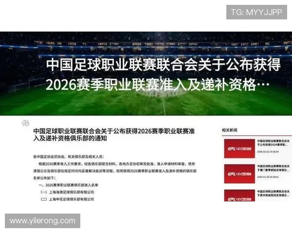 职业联赛赛事官方合作伙伴的准入制